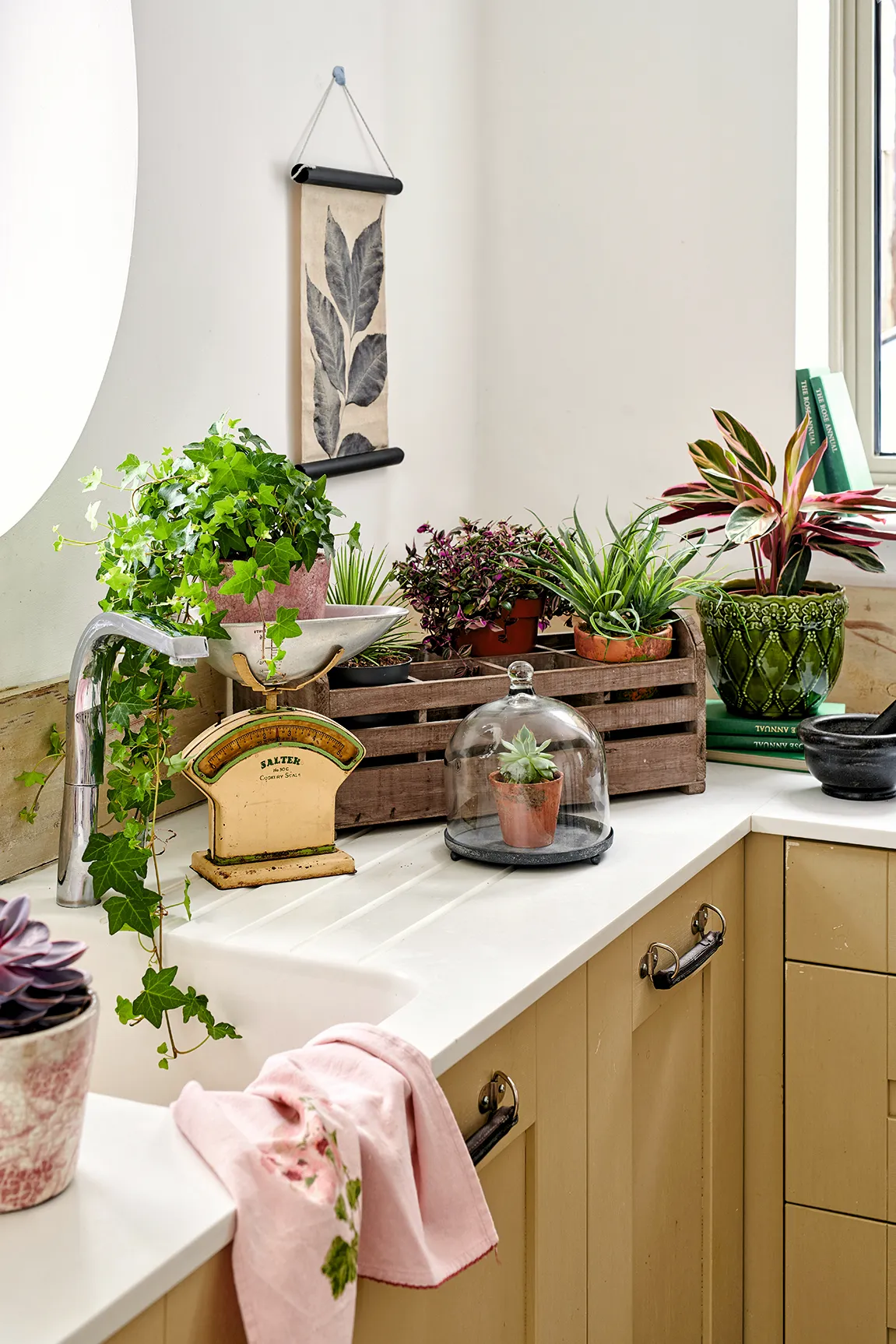 A wooden crate overflowing with plants on a white kitchen worktop.