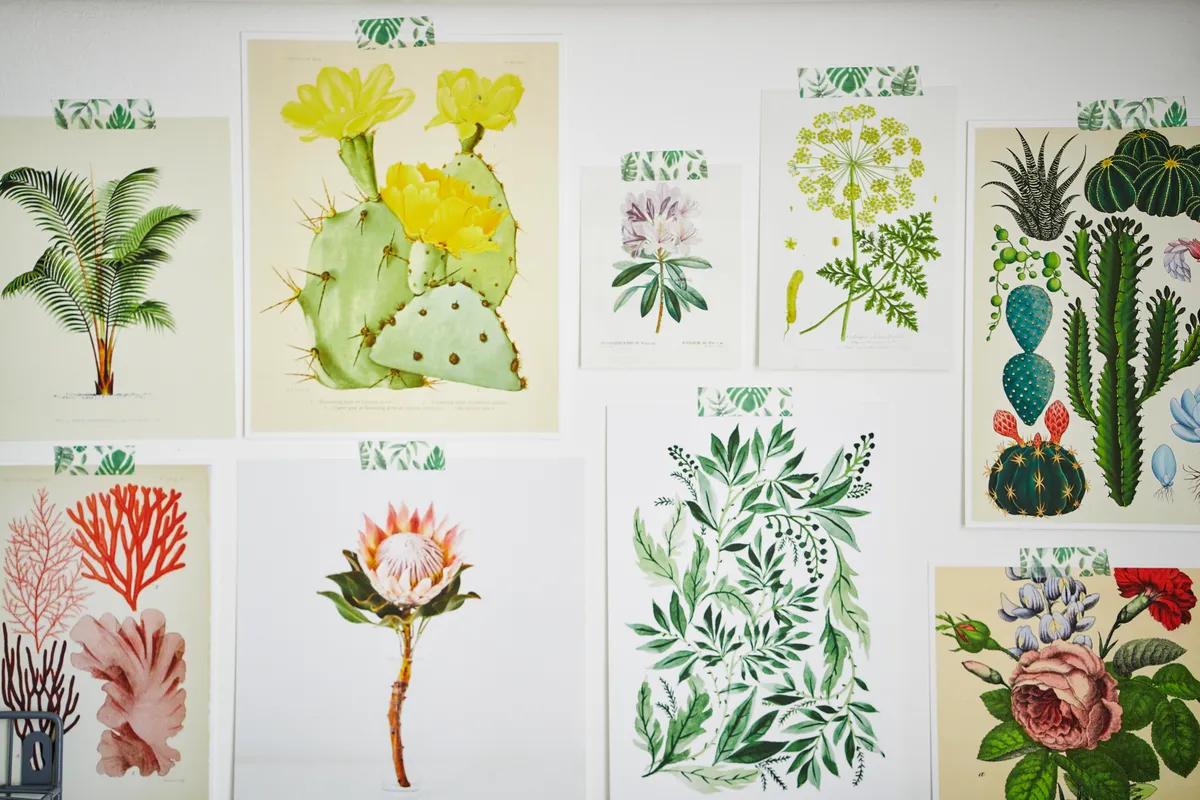 A selection of vintage botanical prints which provide inspiration for Jessica's designs