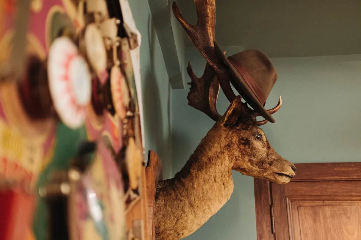 A taxidermy stags head is mounted on the wall in the Boot Room at the Chateau de la Motte Husson