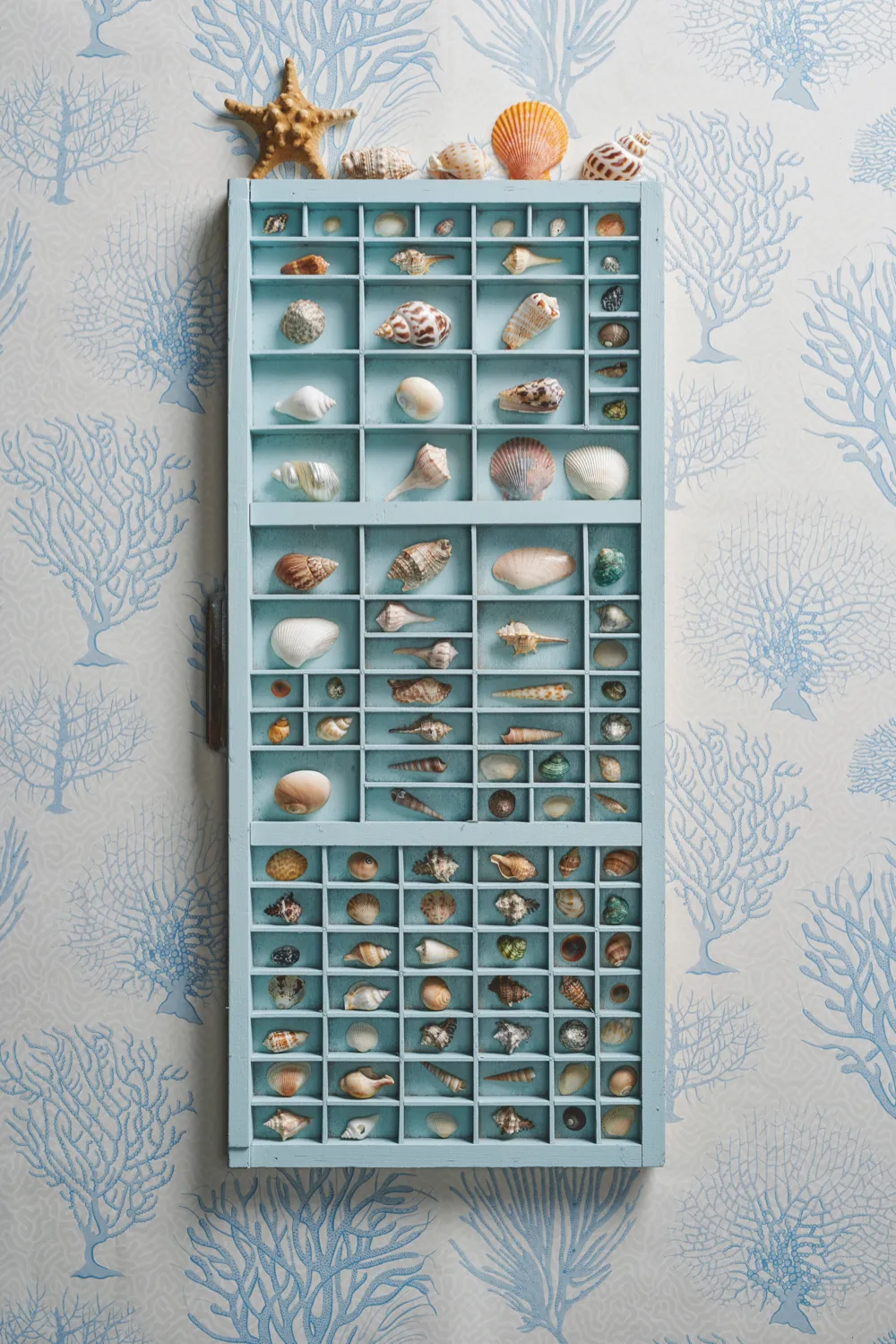 A painted printers tray filled with a collection on shells and curios