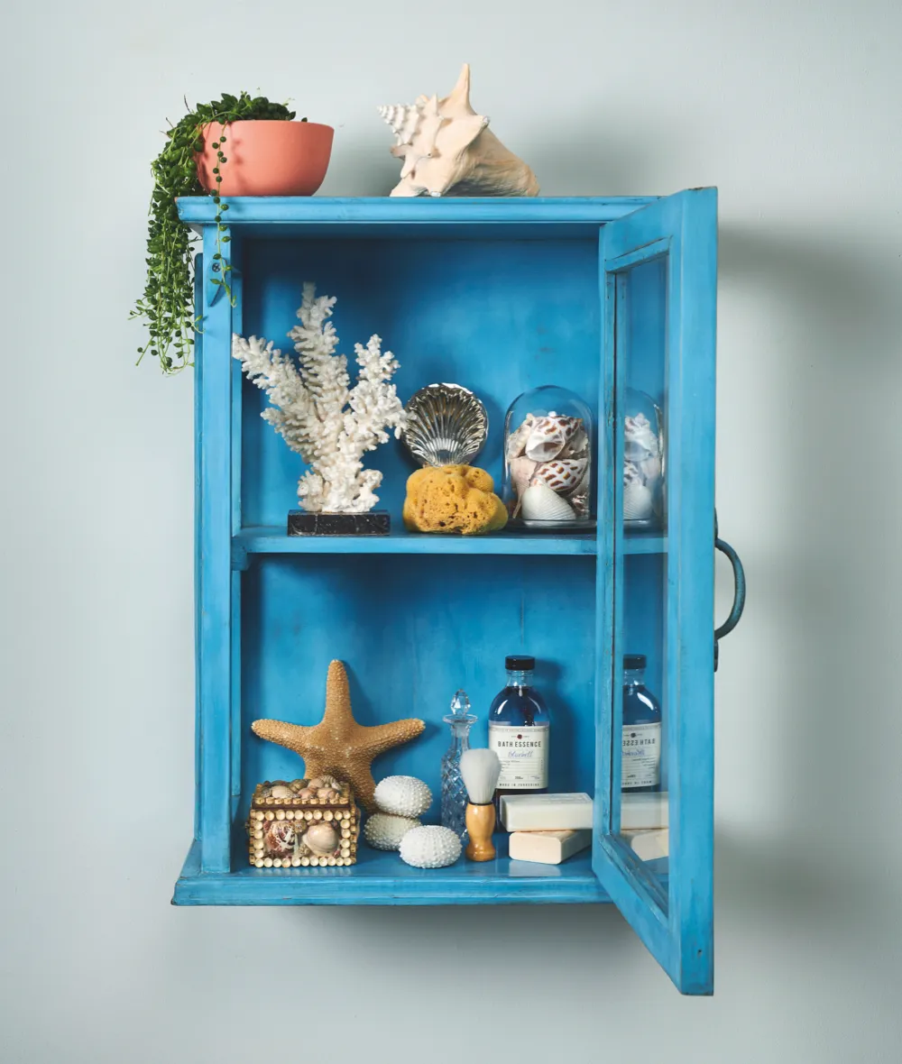 Painted blue cabinet of curiosities