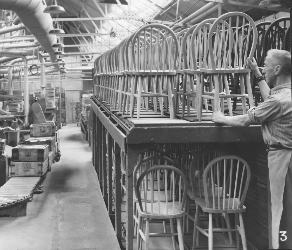 The production line of dining chairs in the ercol chair shop