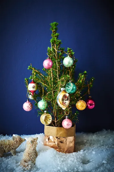 Real rooted Treasure Tree with pop-up pot, fairy lights and vintage-style baubles, £35, Bloom & Wild.