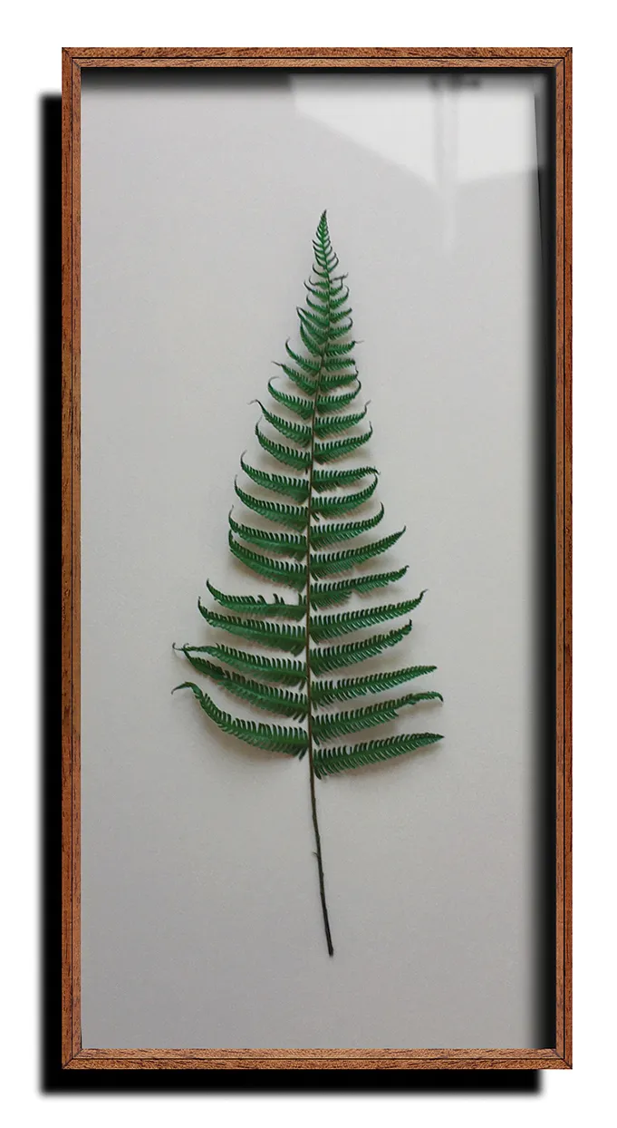 Parchemin fern on a painted background, £345 each, both Hannah Brown Interiors.