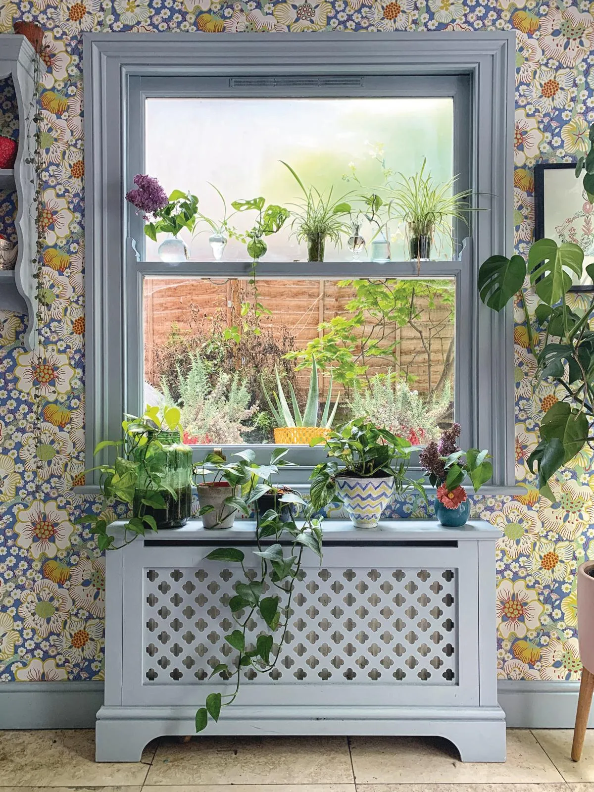 Victorian terrace window display