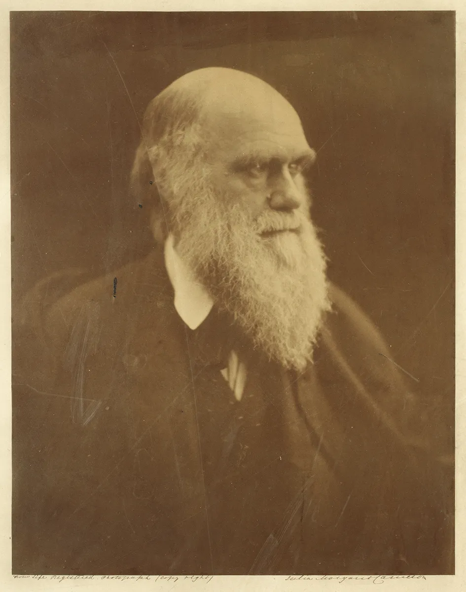 Portrait of Charles Darwin, 1868, by Julia Margaret Cameron, sold for £22,562 at Bonhams in 2019.