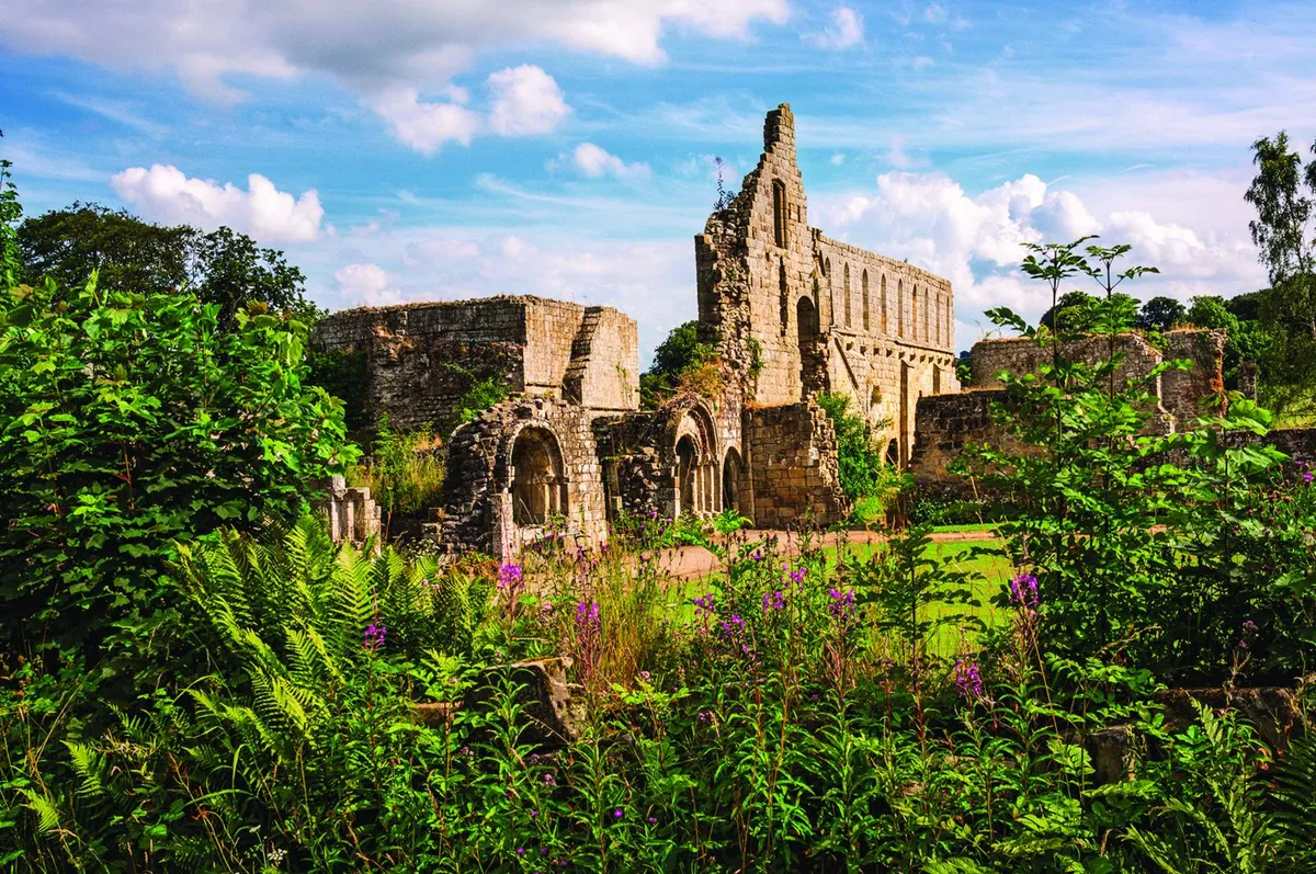 One of the many attractions of Jervaulx Abbey is its wildflowers.