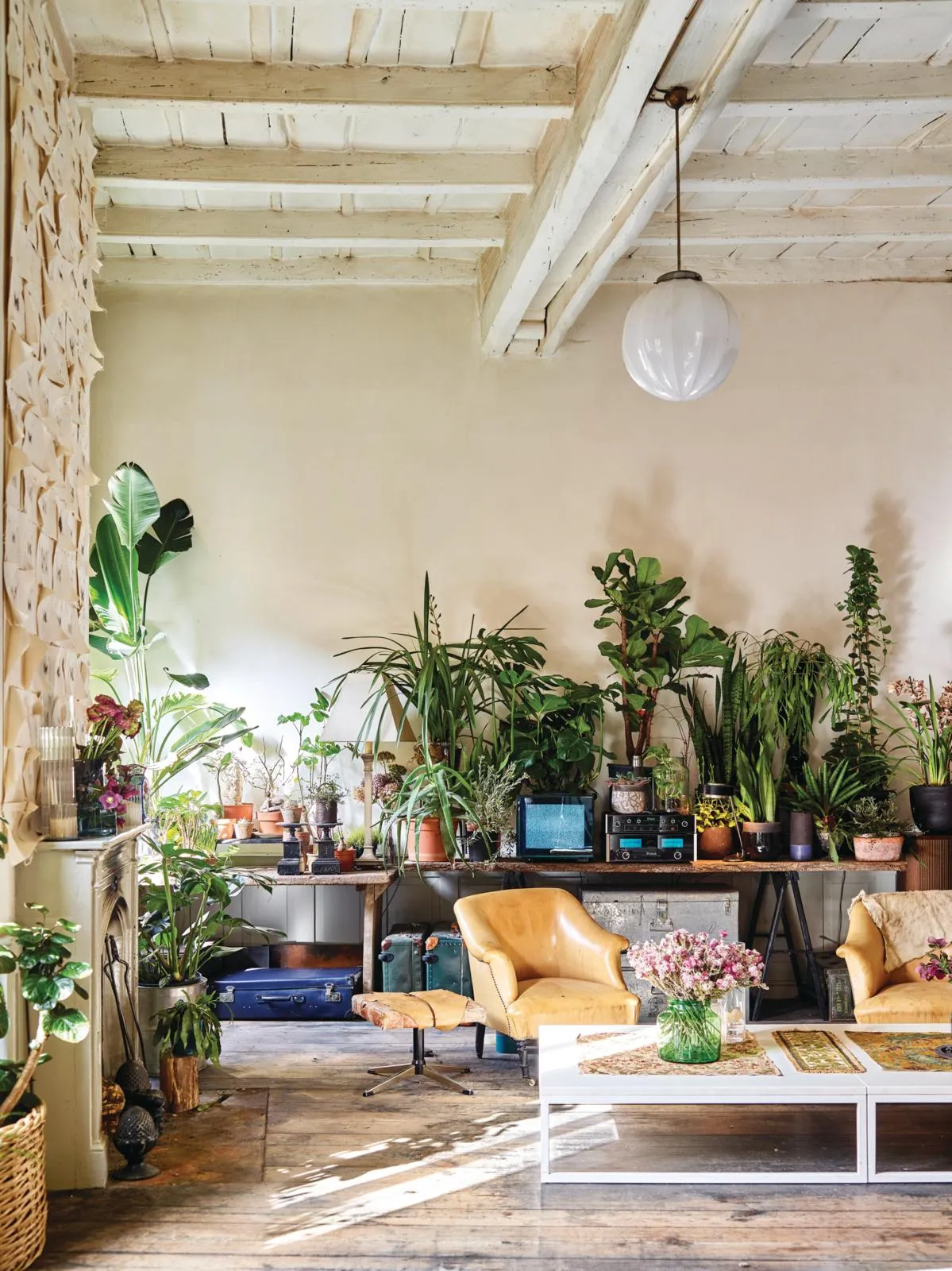 Spacious Bologna apartment, living room plant display.