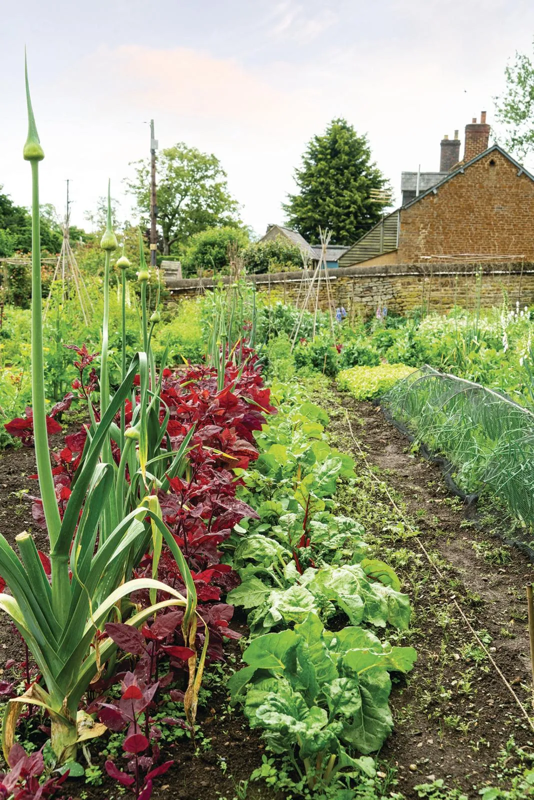 Wardington Manor: vegetable garden.