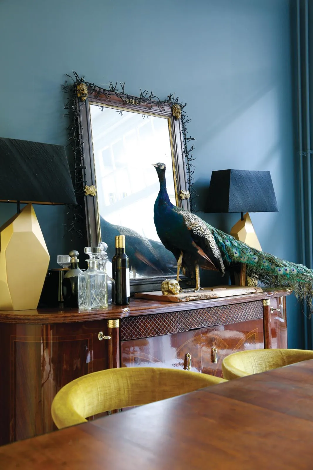 Dutch home, antique taxidermy peacock.