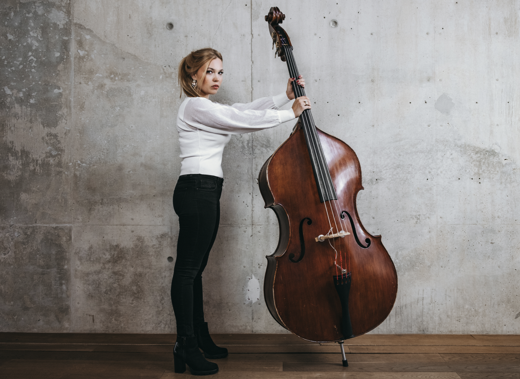 The double bass: a comprehensive guide to the orchestra's largest