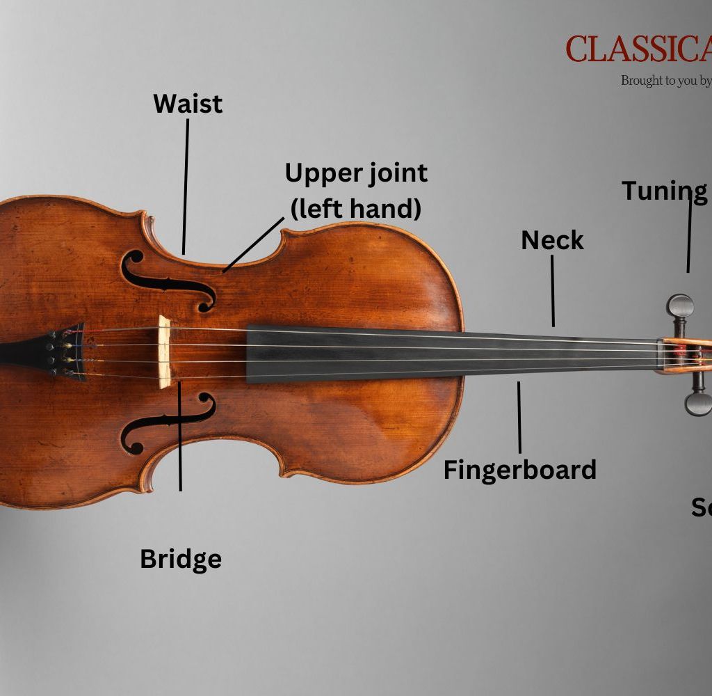 Viola Components Viola Bow Parts