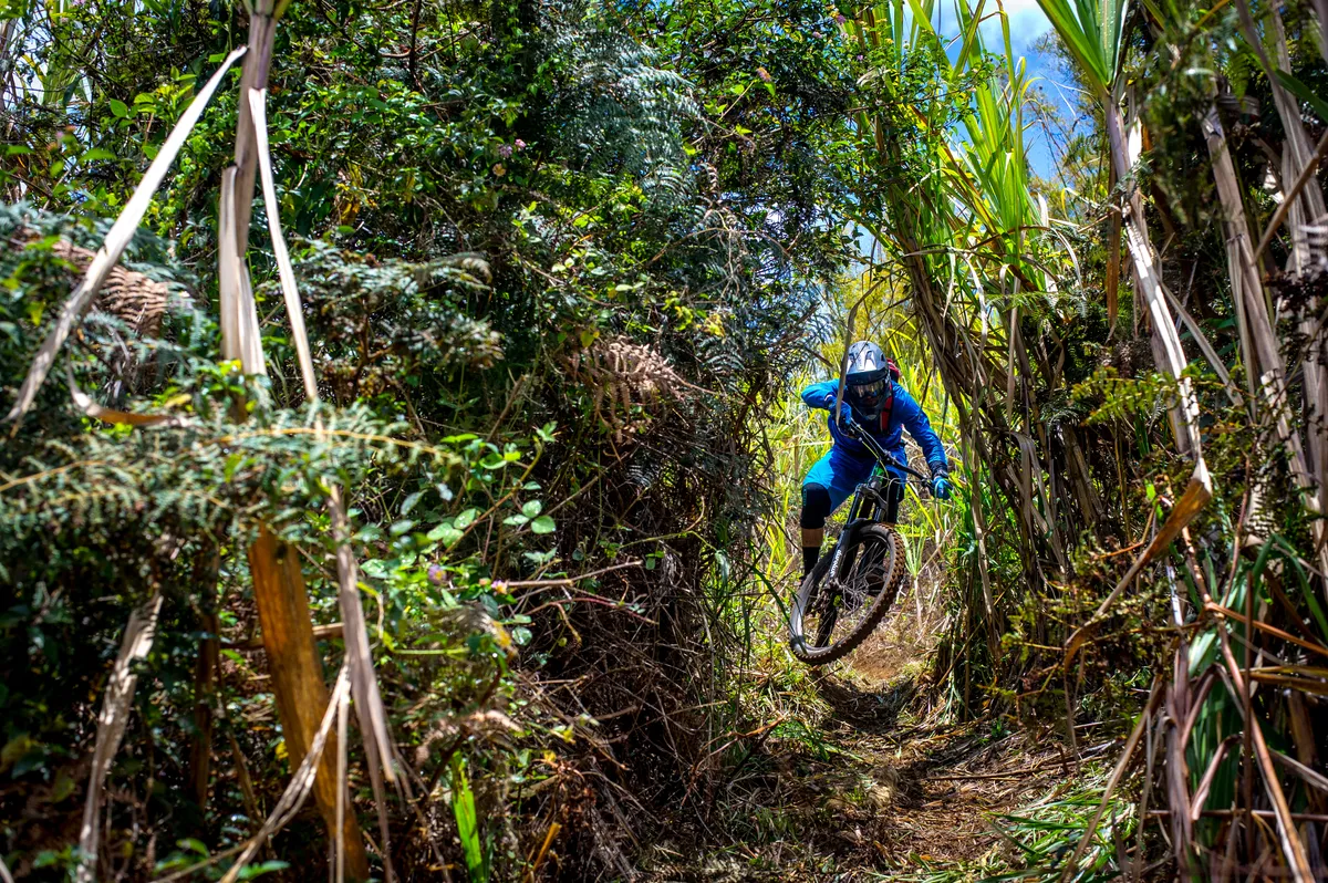 Rainforest style riding on Reunion Island