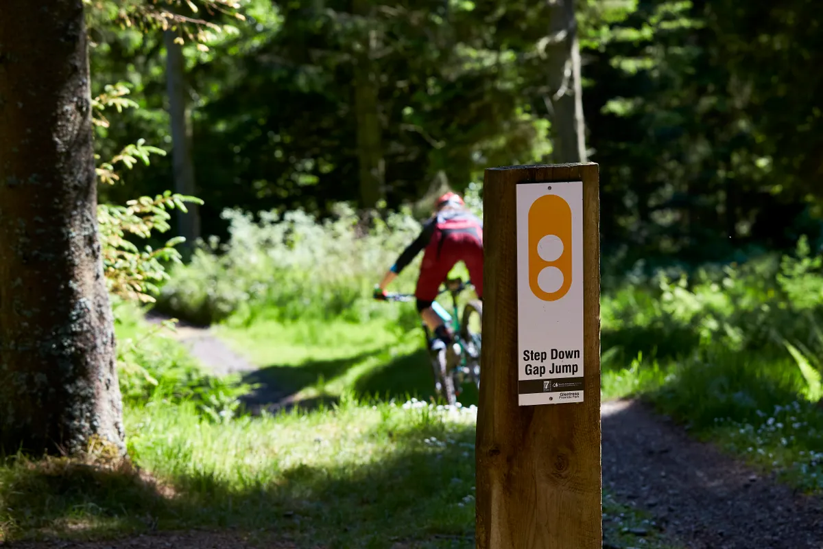 The freeride park at Glentress is perfect for honing your skills. Credit: Steve Behr