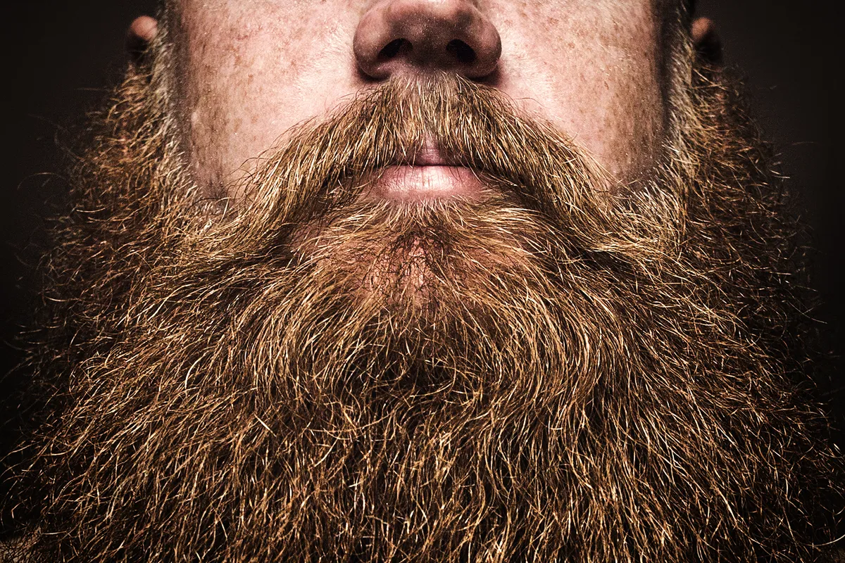 close up of big bushy beard