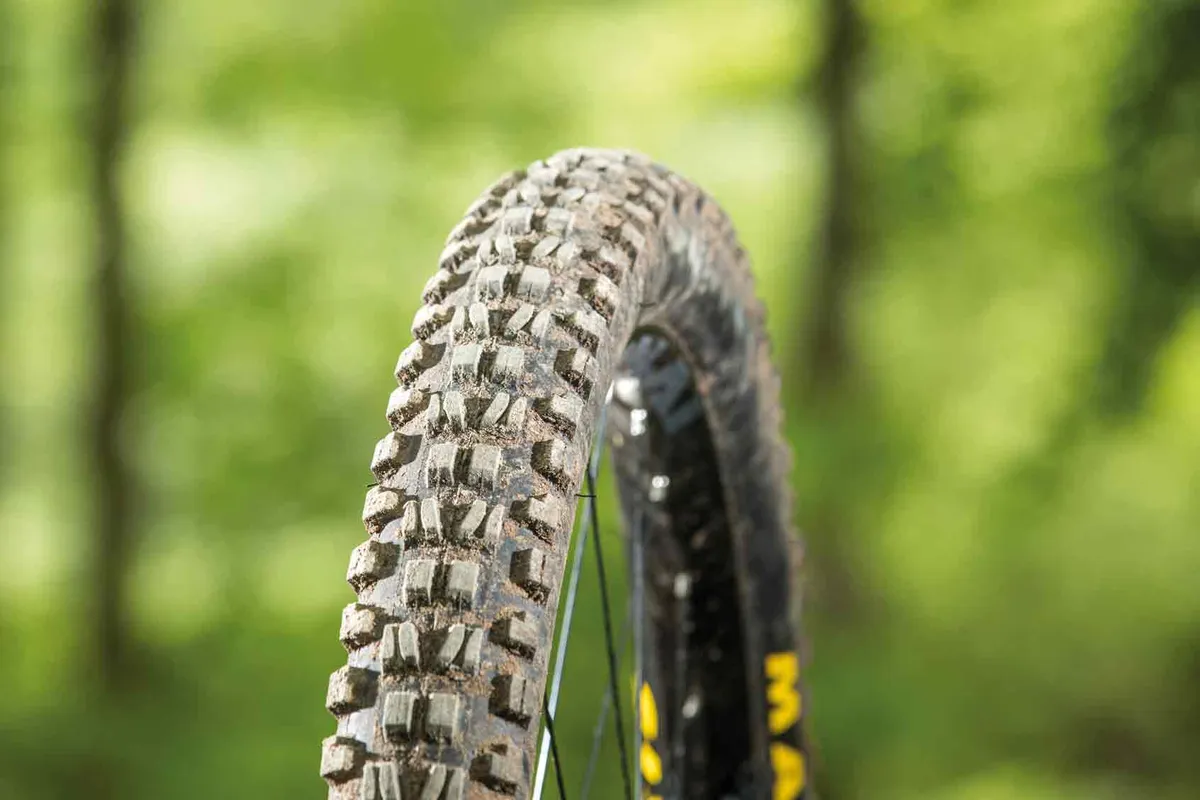 Maxxis's Minion DHF WT tyre is well worth its premium price