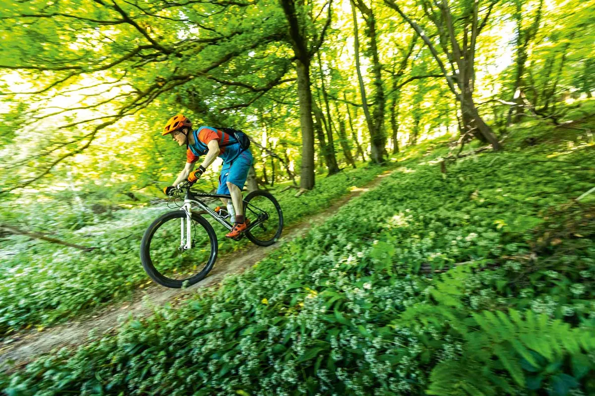 A ride through the fragrant, sun-dappled woods of the Chilterns. Photo: Russell Burton
