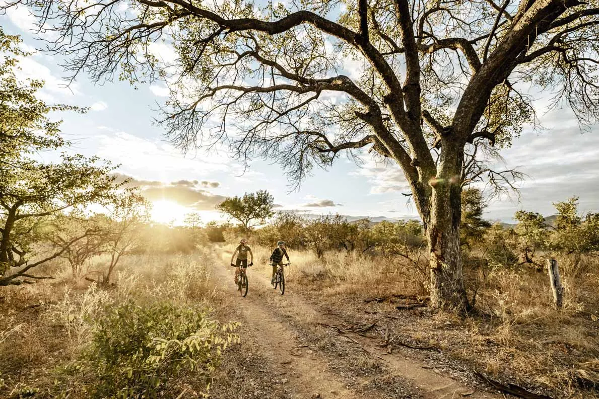 An unforgettable MTB safari through the wilds of South Africa. Photo: Martin Bissig
