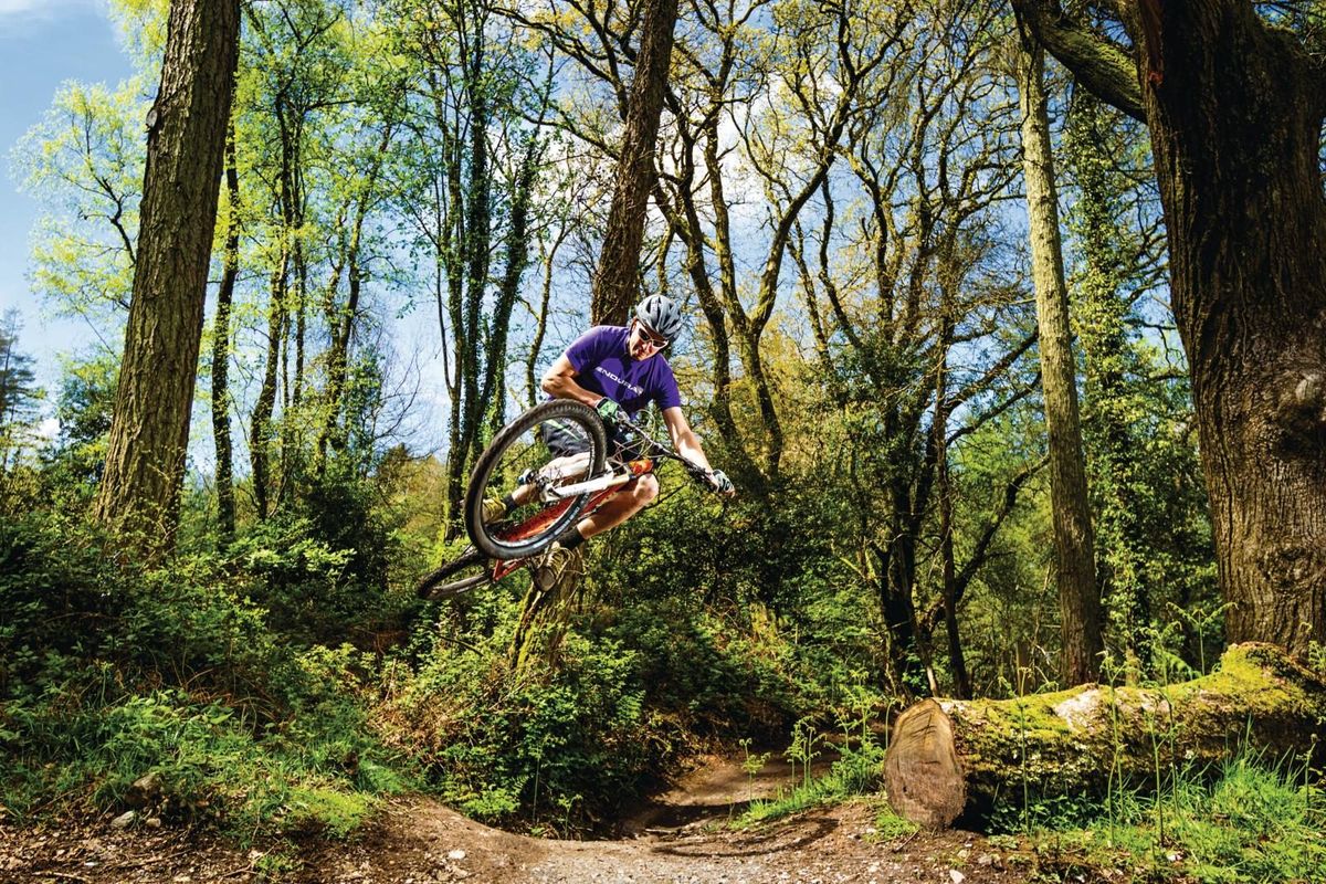 Haldon Forest - Mountain Biking UK