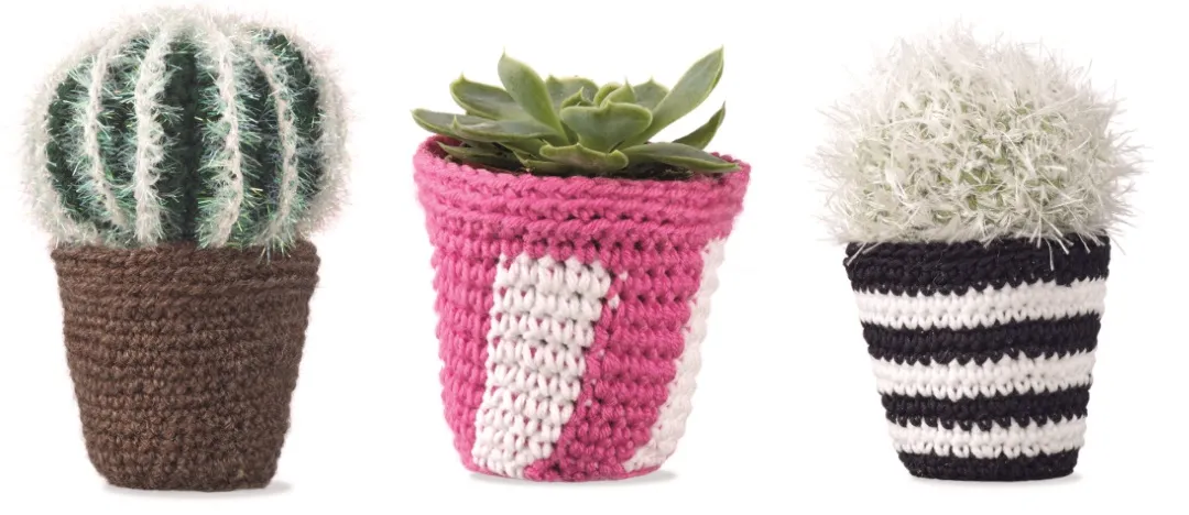 Crocheted Succulent 9