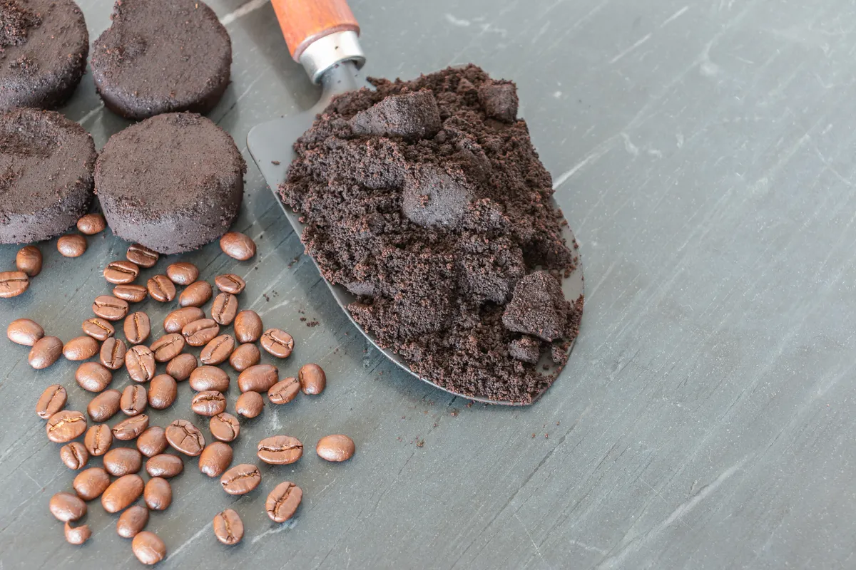Homemade coffee fertiliser