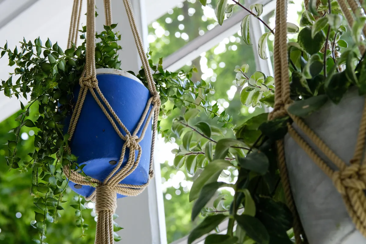 Macrame potted plant