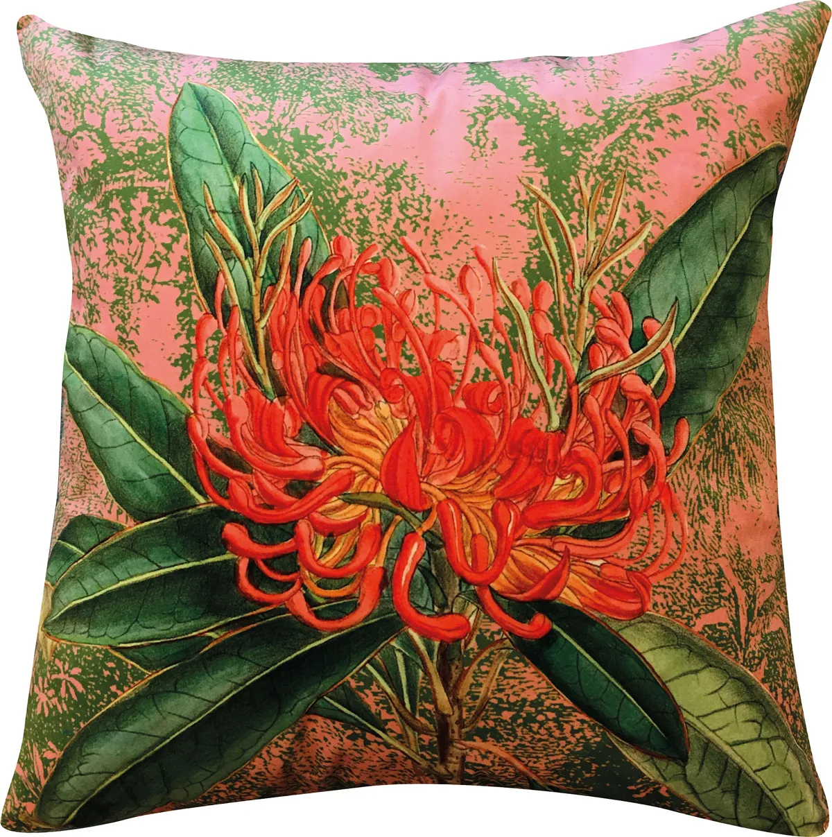 Love Coral velvet cushion cover, £35.95, Audenza