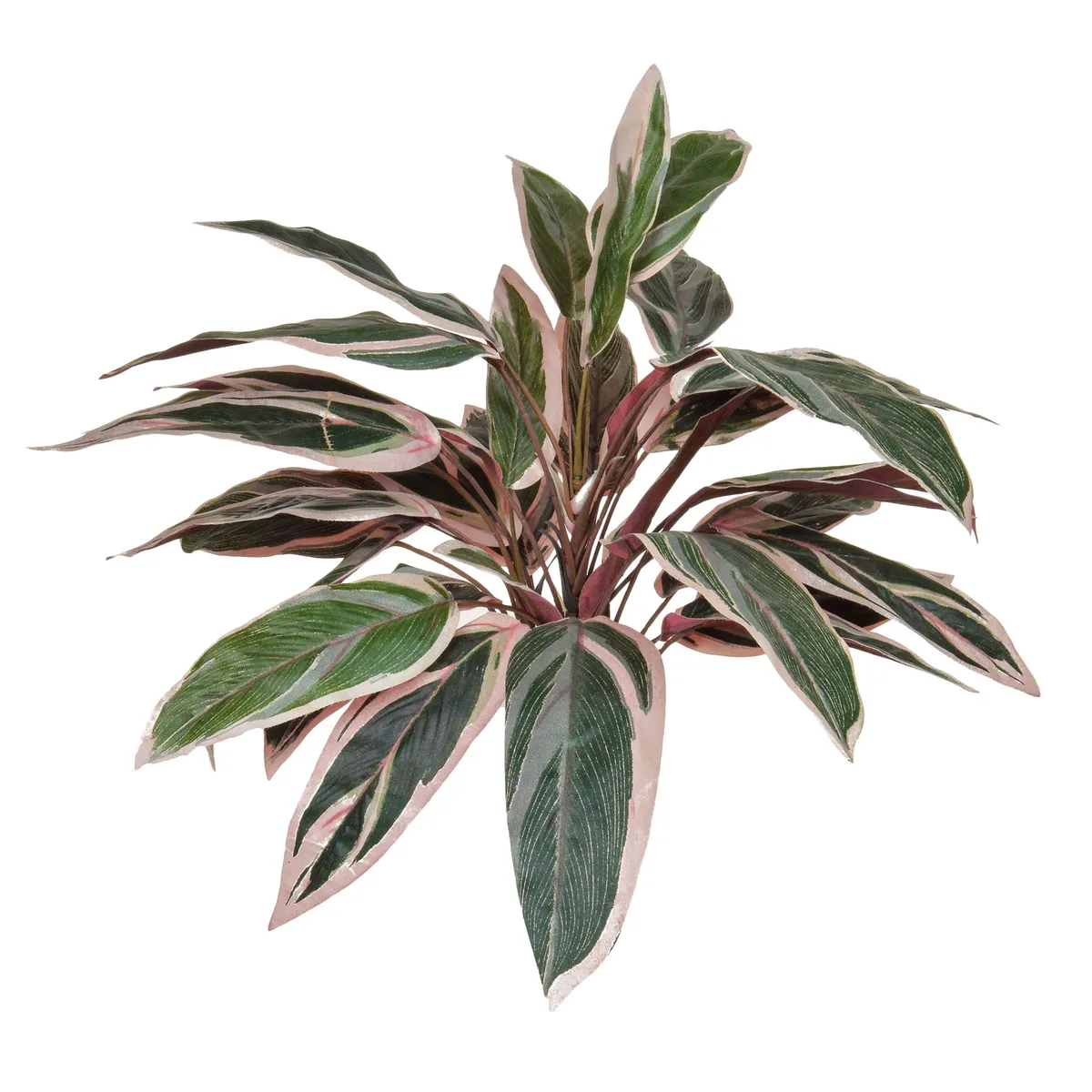 Faux pink caladium plant, £14.95, Audenza