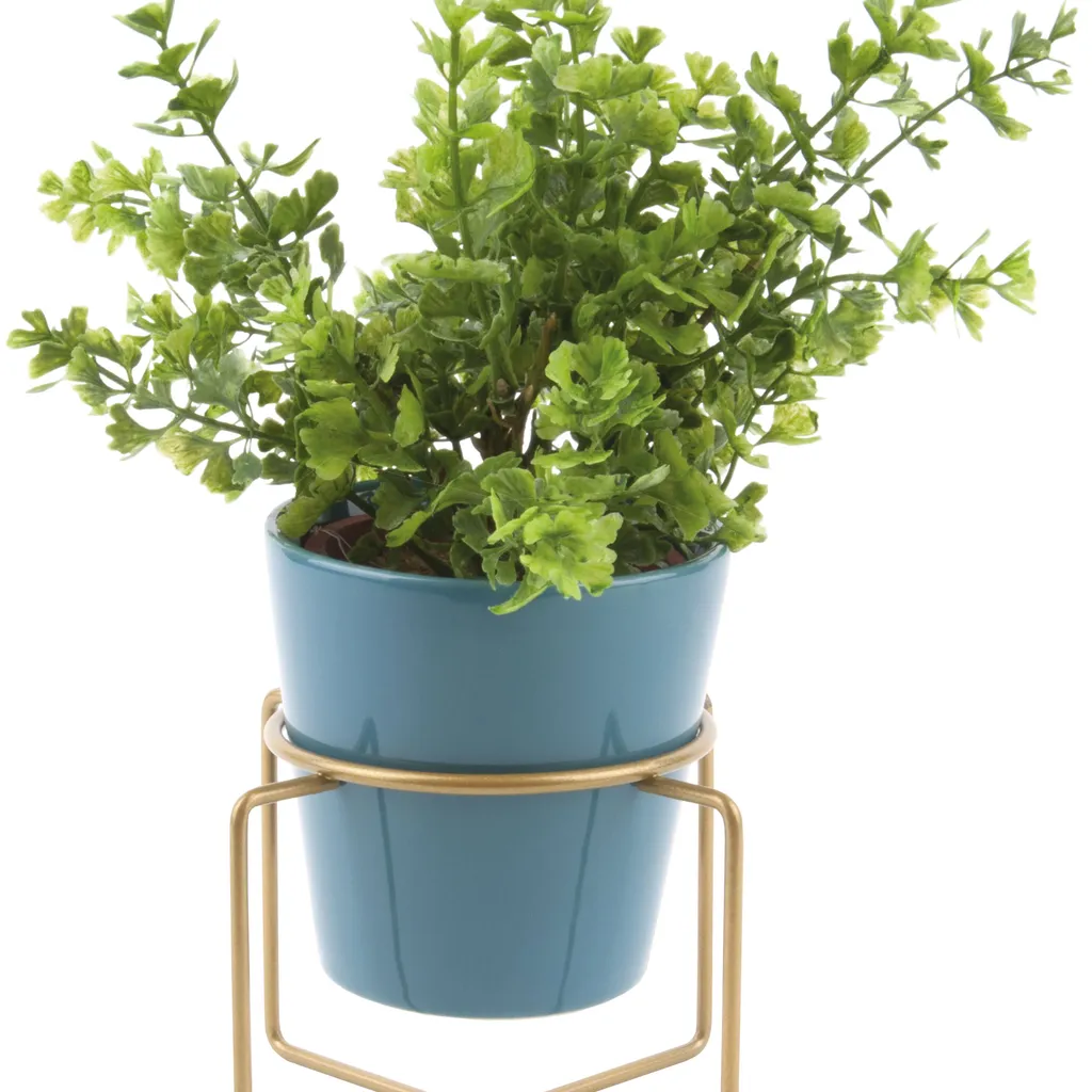 Bring the outdoors in and help improve the air quality with a few leafy house plants. Present Time Small Coy ceramic plant pot, £9, Cult Furniture