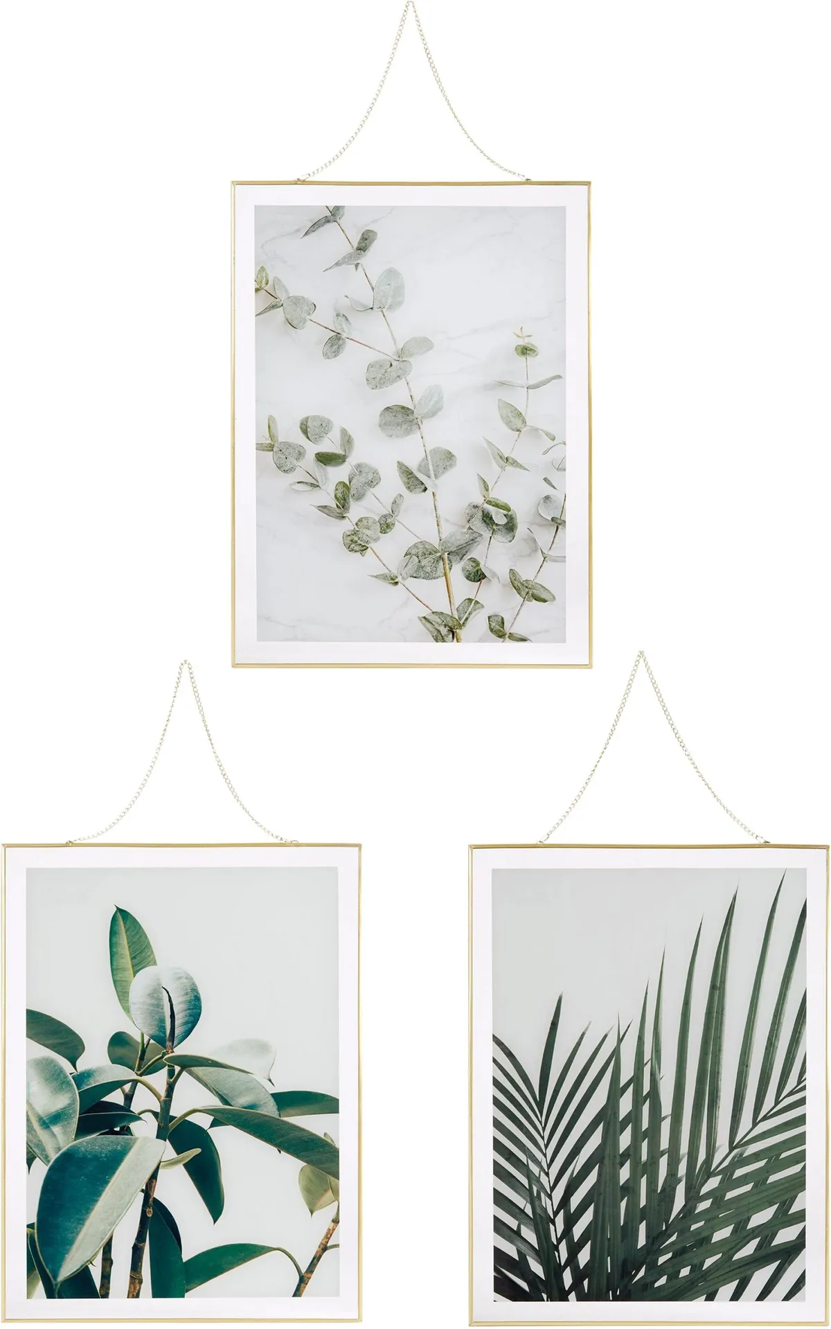 £38 for three from Very Kick-start a gallery wall with this set of three coordinating botanical prints.