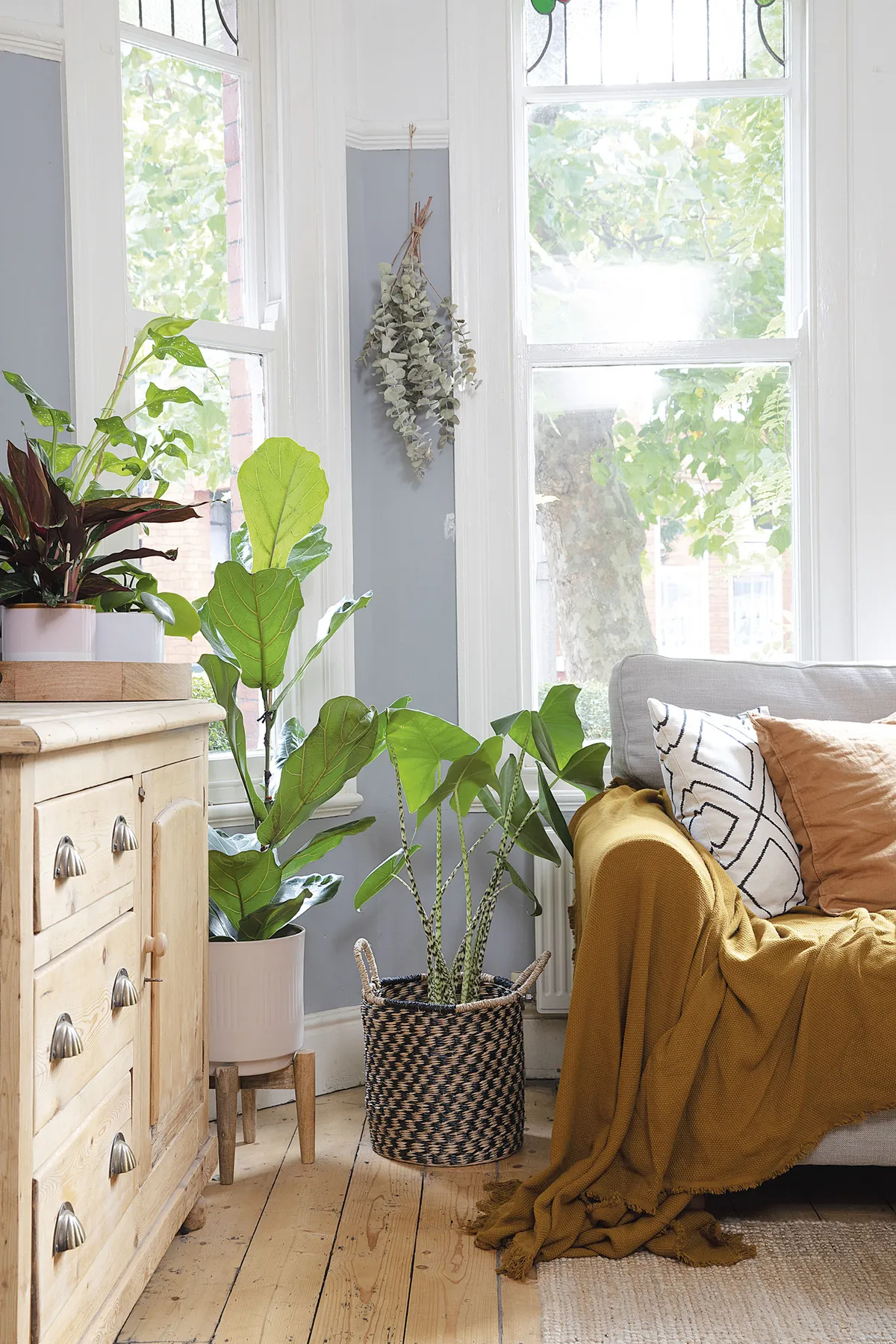 Planters from TK Maxx and HomeSense create a lush display, alongside dried eucalyptus saved from a Christmas garland and hung from the picture rail. ‘Next we plan to add café-style shutters on the lower half of the window,’ says Hollie