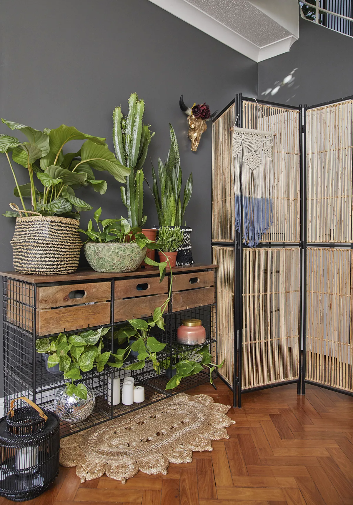 ‘This screen from French Connection is great for hiding the door to the downstairs loo. I love styling this unit with my plants, though they don’t stay in one place for too long’