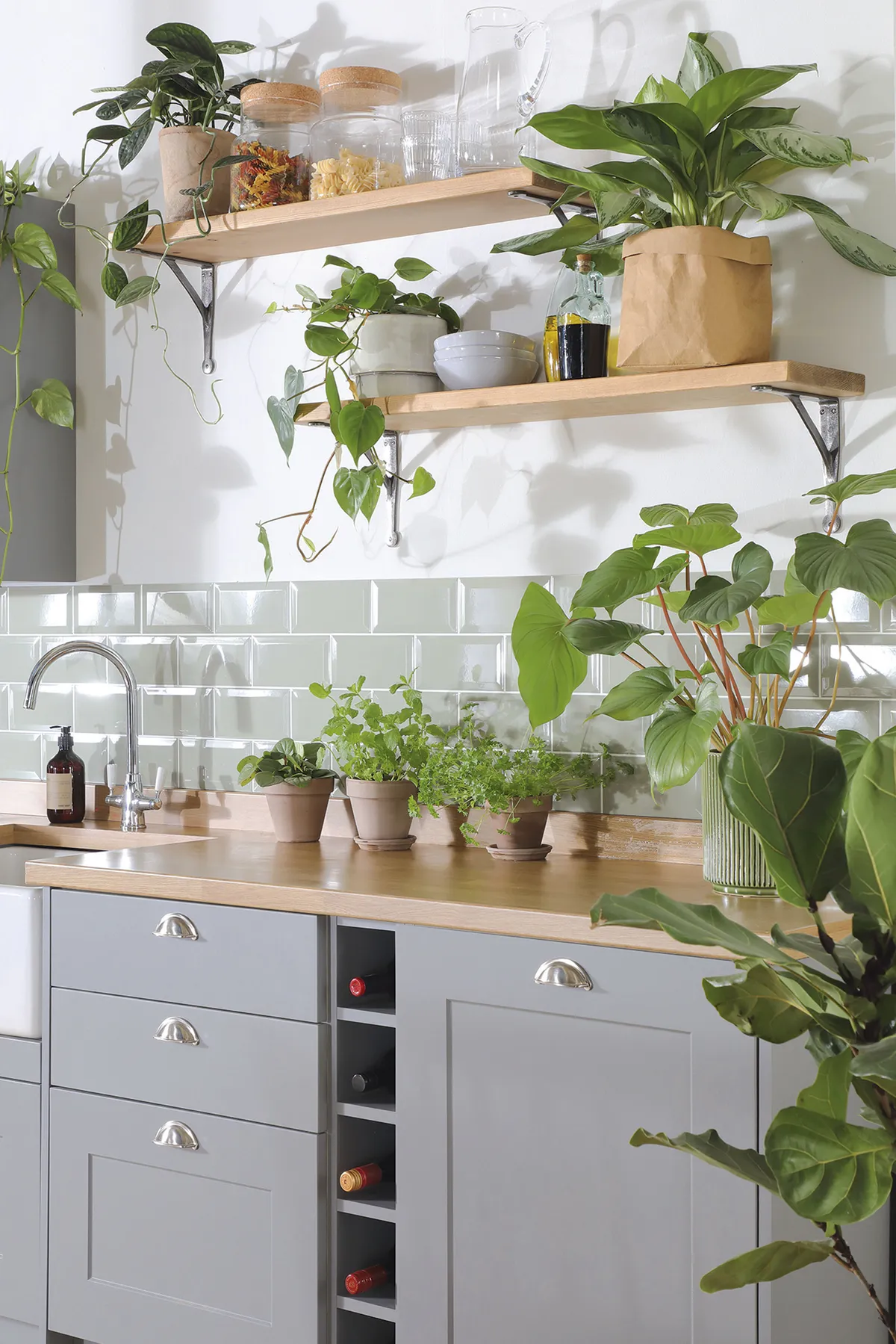 Green houseplants will boost your scheme and your wellbeing too