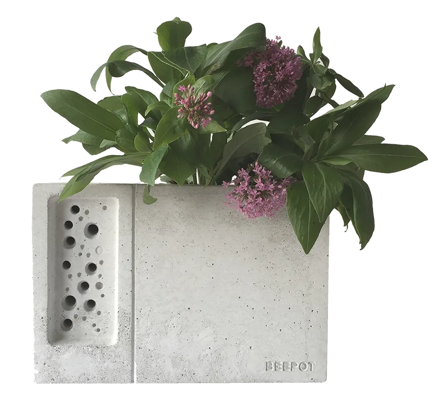 Beepot Bee House and Garden Planter By Green And Blue