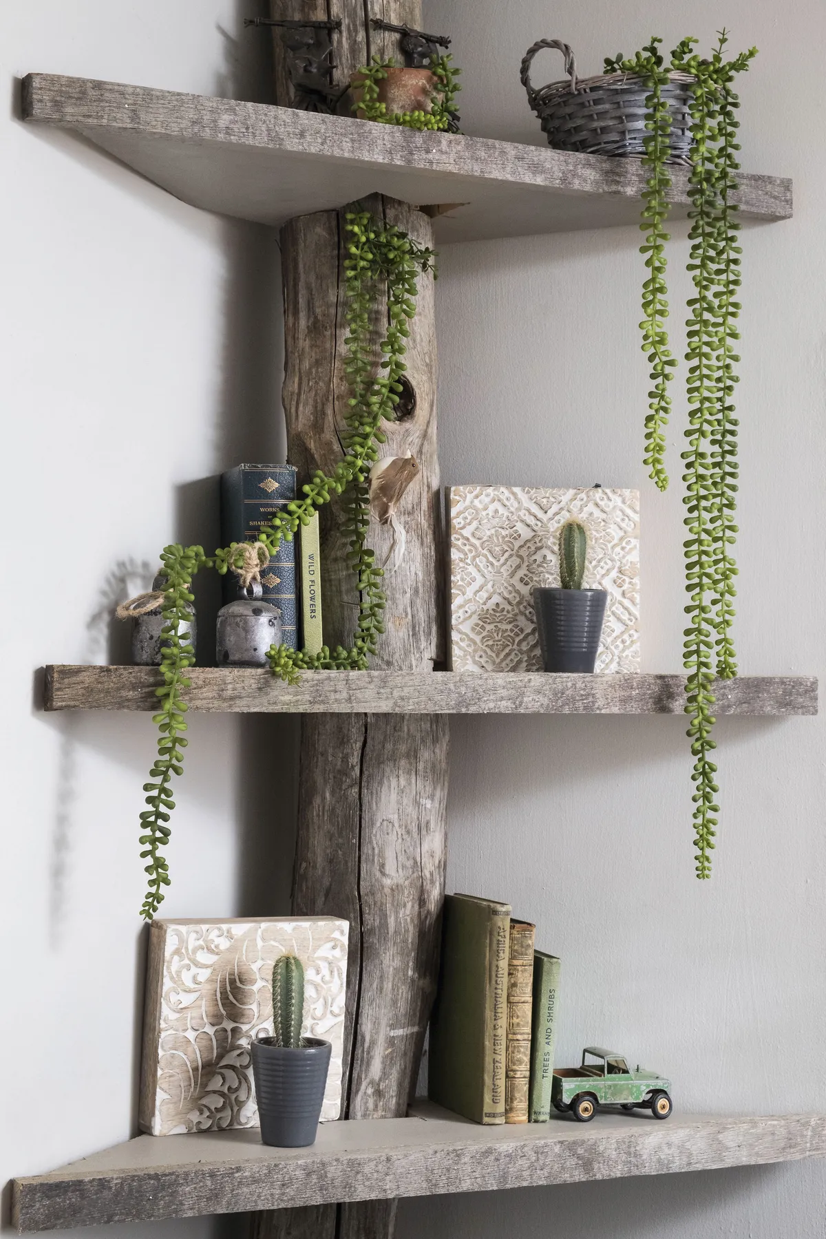 Danecia hasn’t let an inch of space go to waste. She’s injected this corner with character and colour, adding quirky handmade shelving and trailing greenery