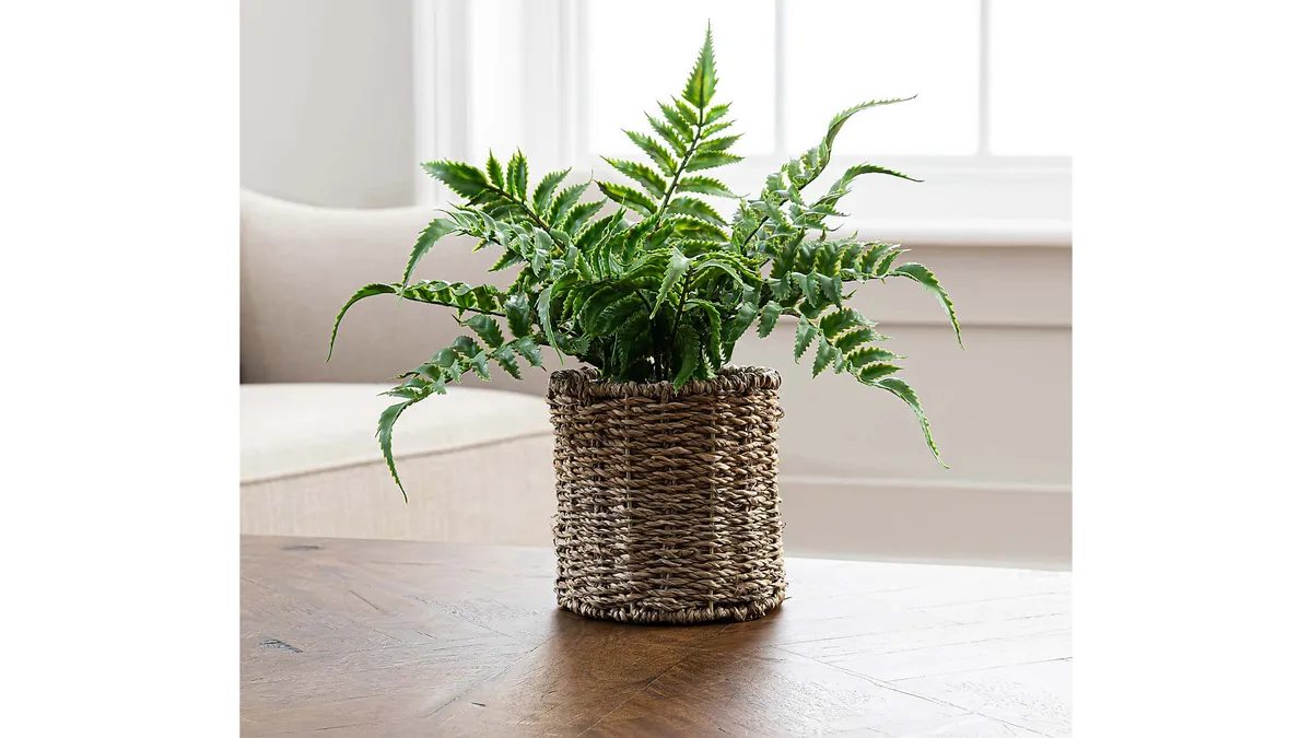 Artificial fern in a rattan pot on a wooden table.