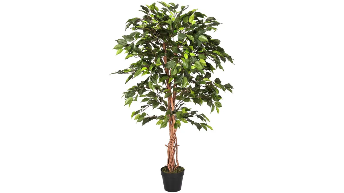 An artificial ficus tree on a white background.