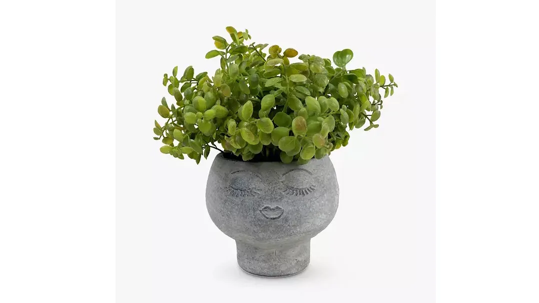 An artificial succulent in a grey planter with an etched face on a white background.
