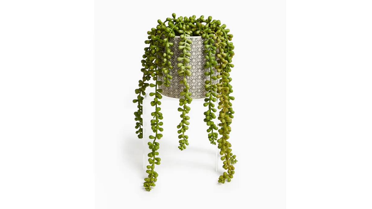 A trailing string of pearls plant in a patterned pot on a white background.