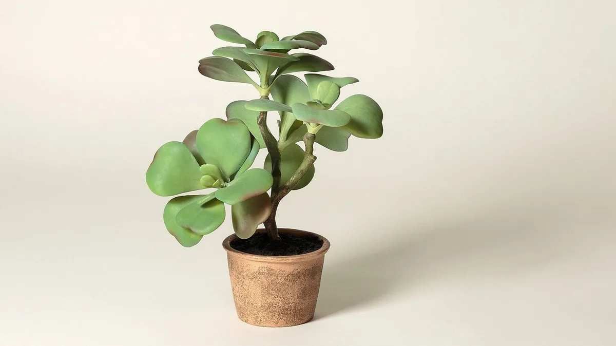 An artificial succulent plant in a clay pot on a beige background.