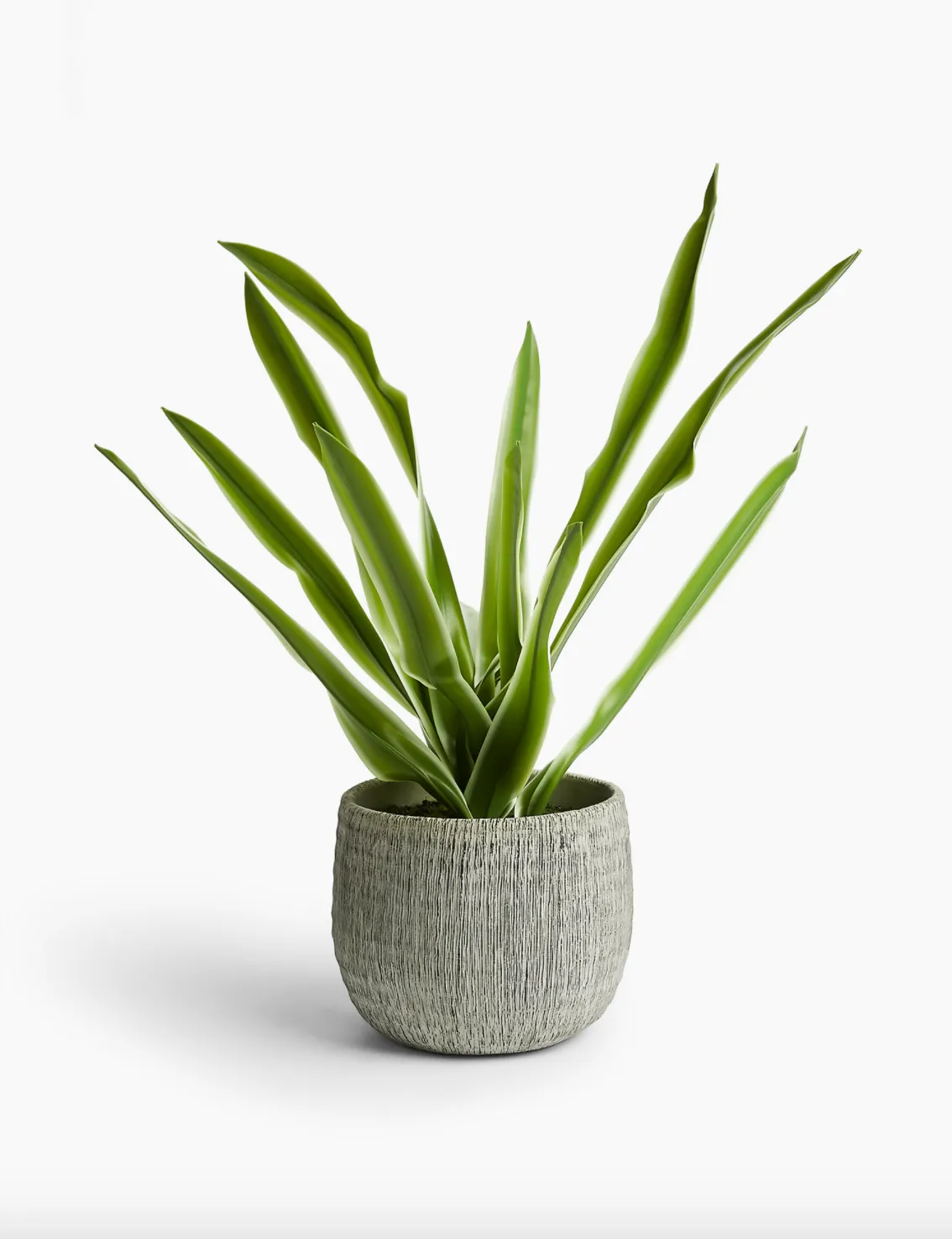 Artificial House Plant in Textured Pot