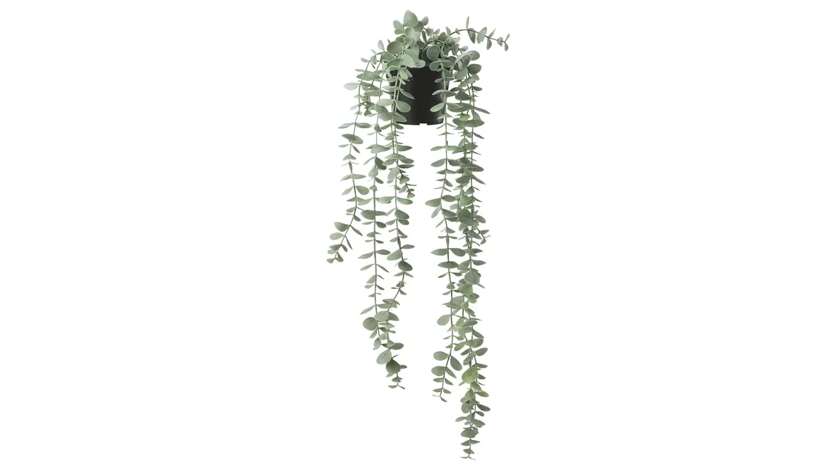 An artificial trailing eucalyptus plant on a white background.