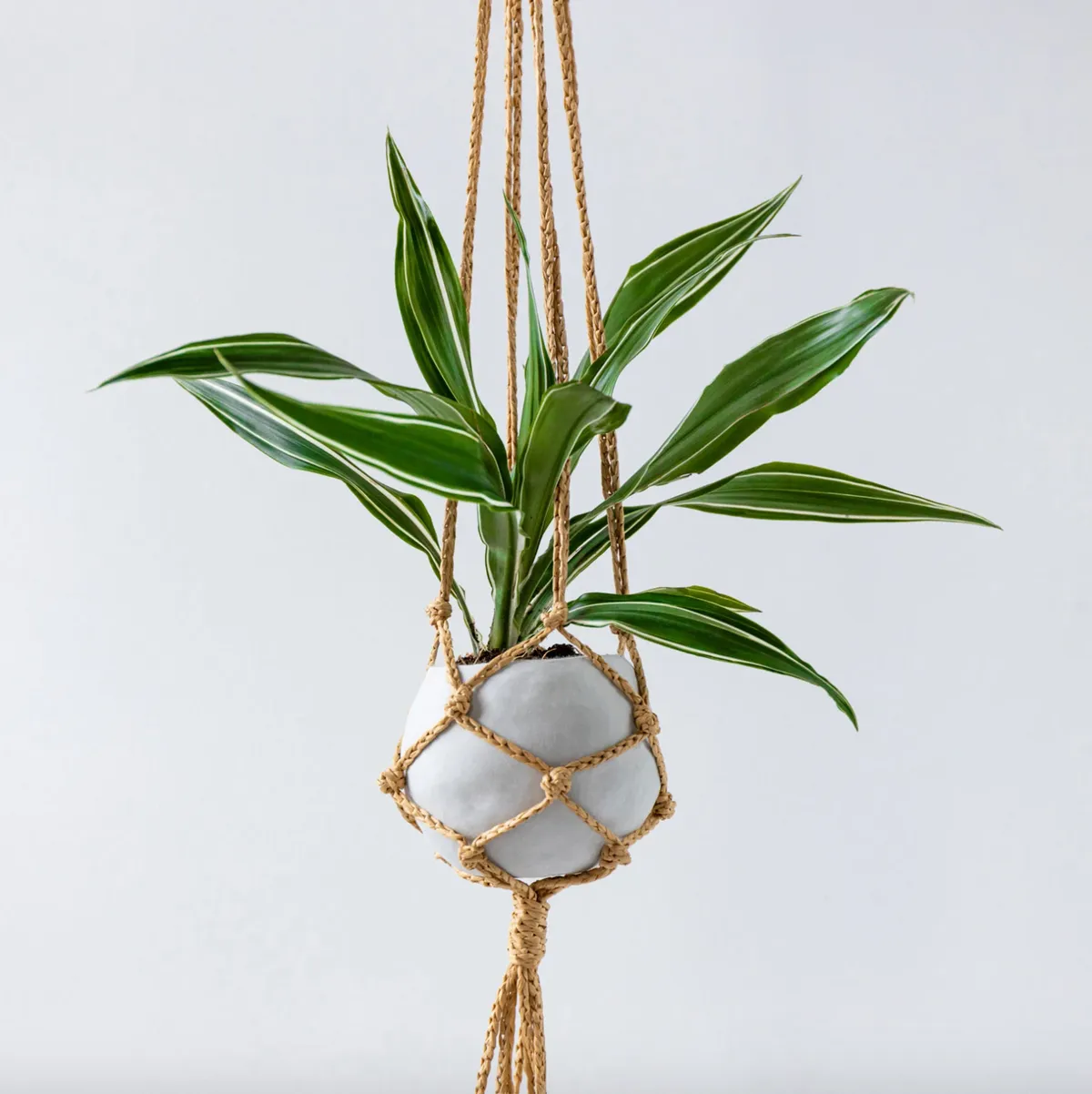 Macrame Hanging Clay Planter Kit by Sculpd x Wool and the Gang