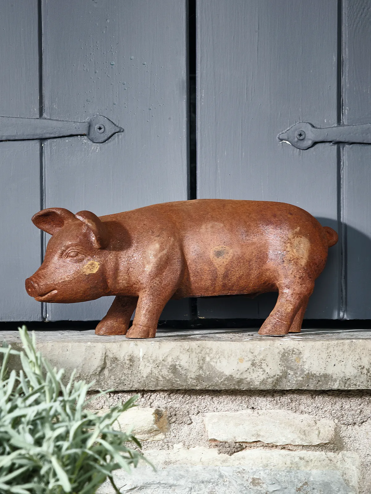 Rusty garden pig sculpture