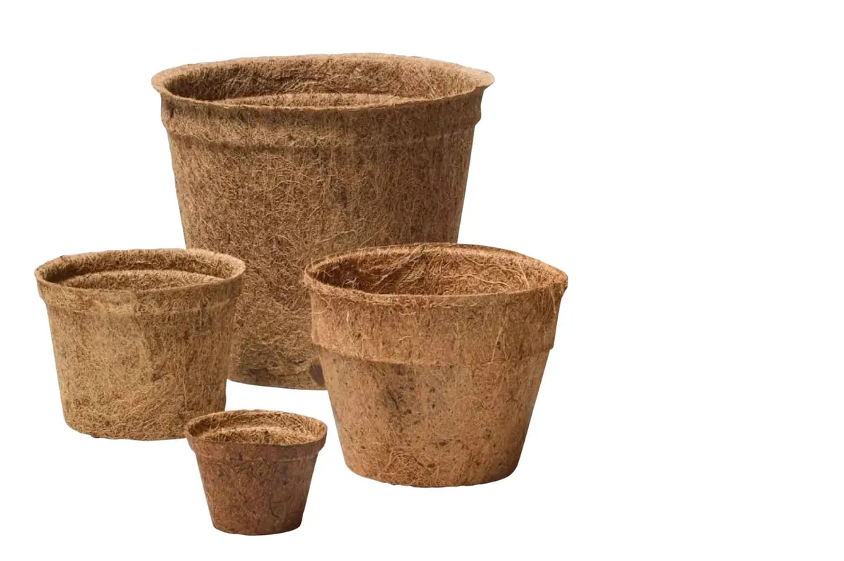 Coir grow pots, from £2, The Stem 