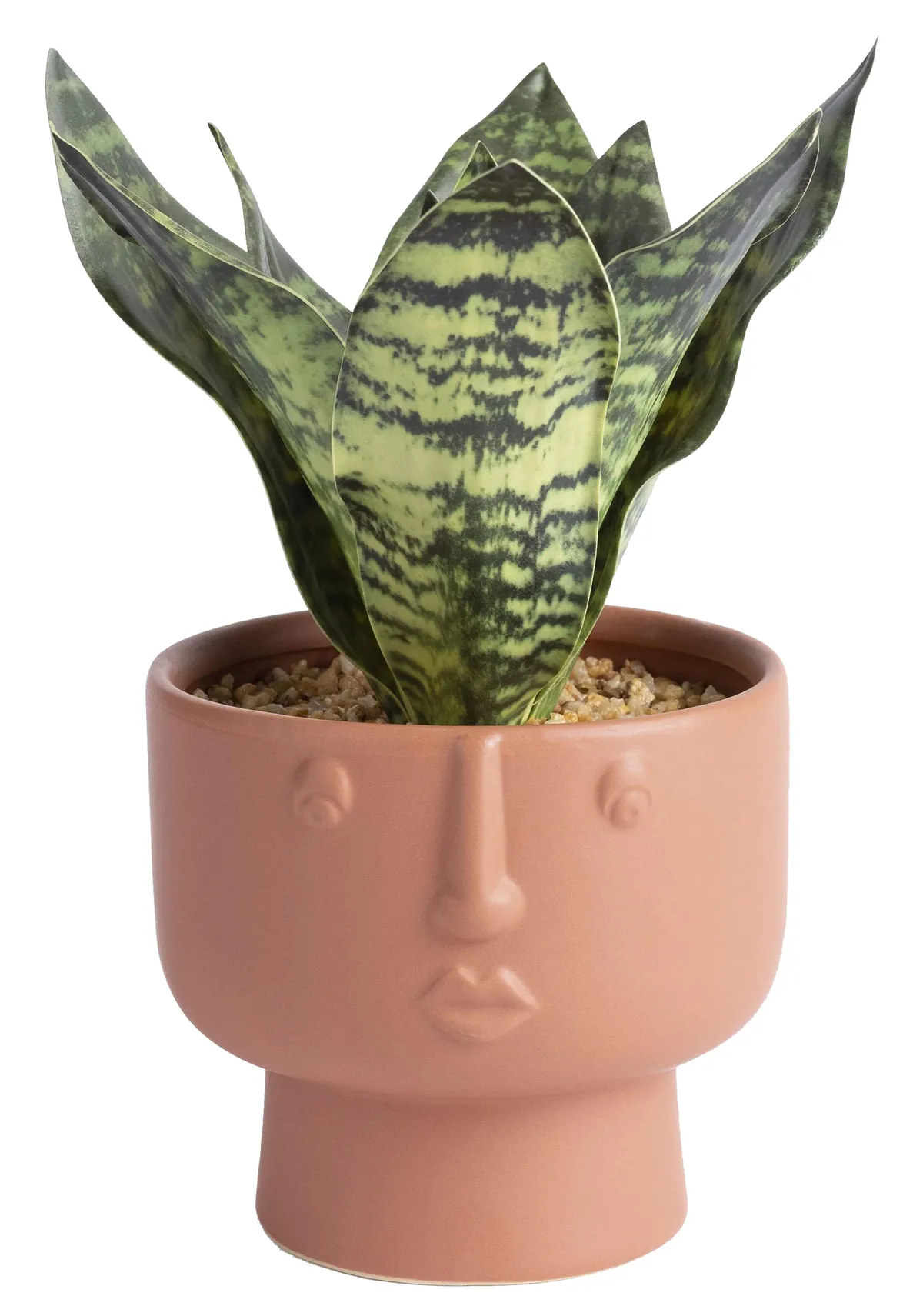 Faux plant in face- shaped pot, £12, Habitat