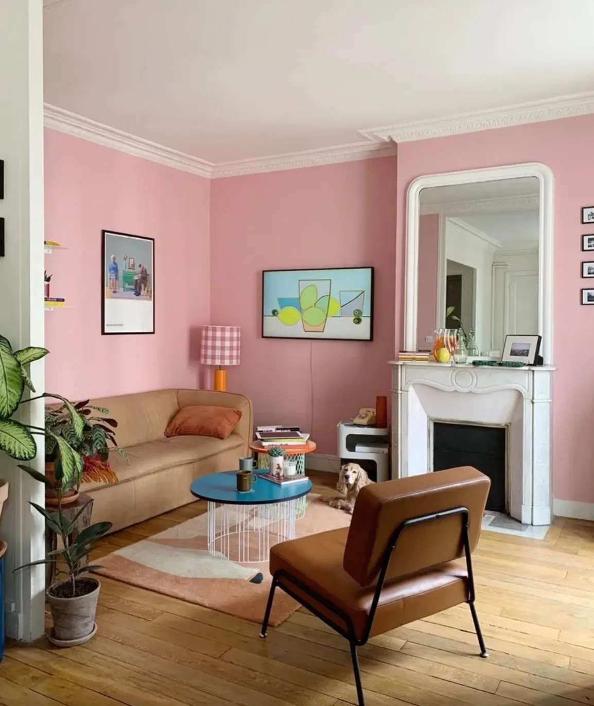 Pink Living Rooms 24 Ideas For A