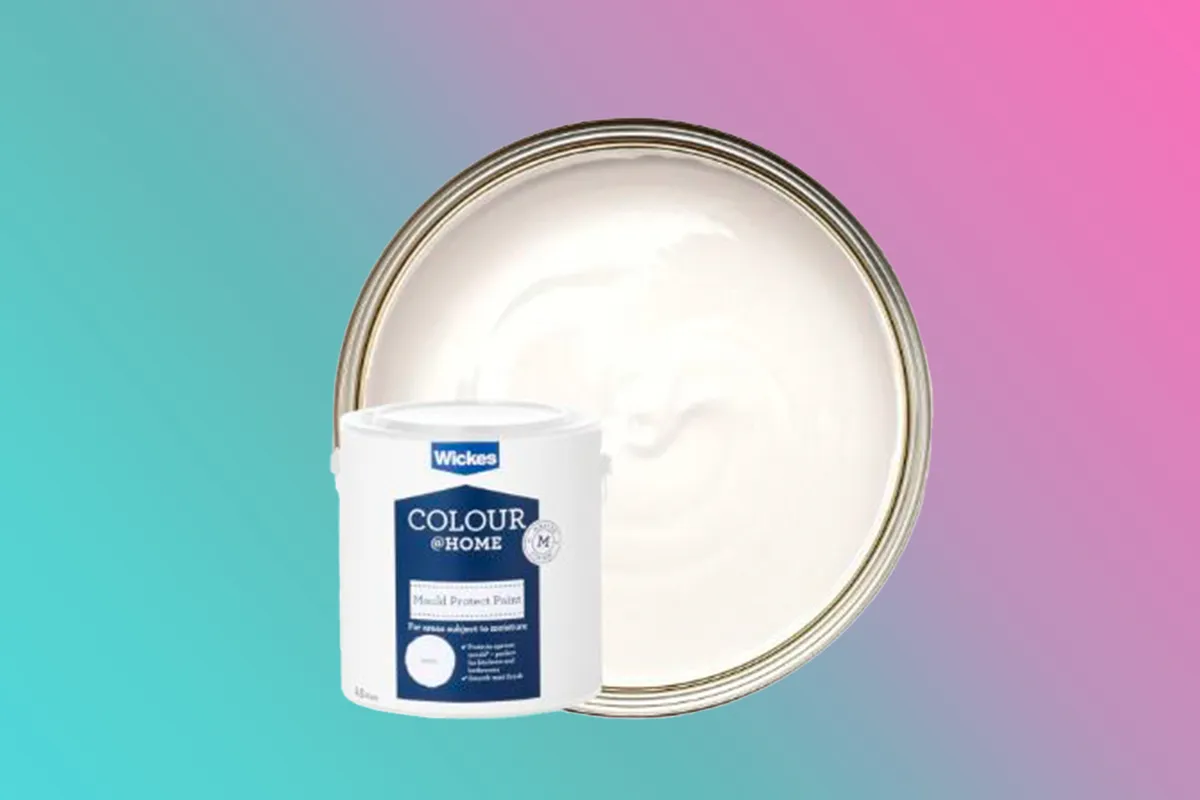 Wickes anti mould paint