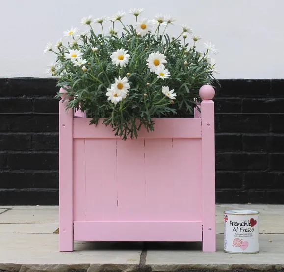 Pink plant box