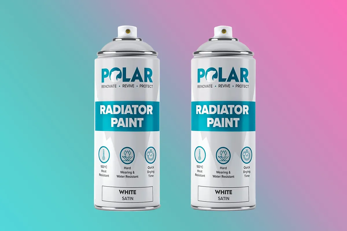 Two cans of radiator spray paint
